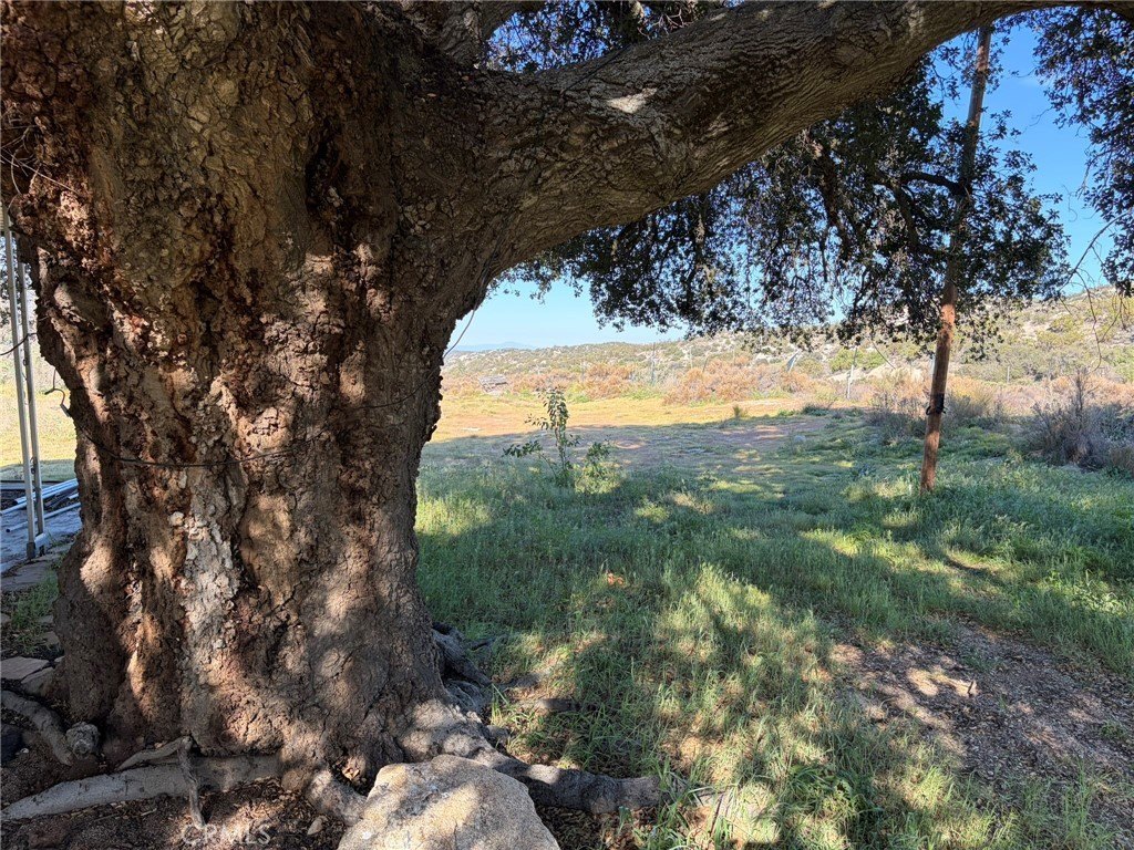 Picture 25