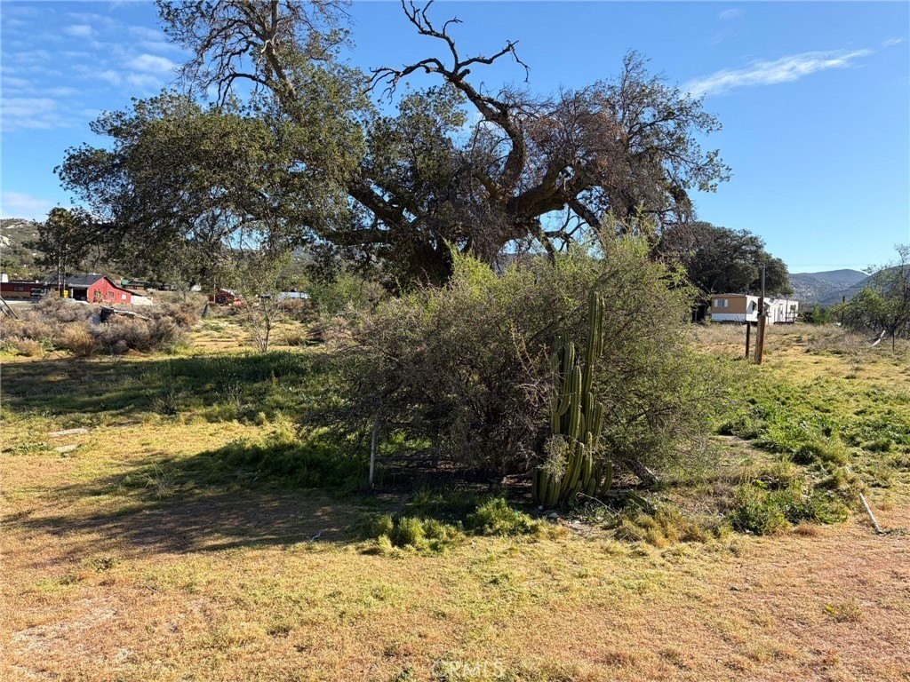 Picture 36