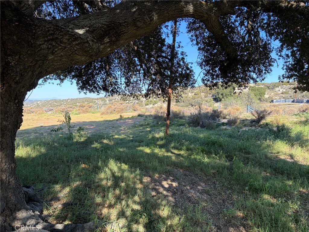 Picture 24