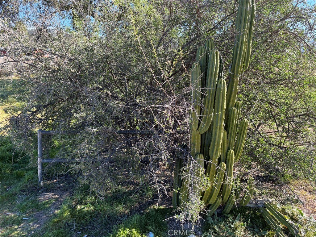 Picture 37
