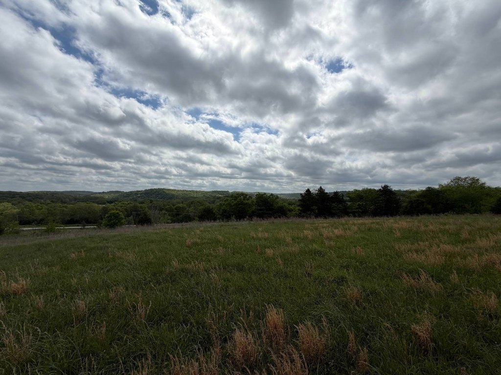 Picture 30