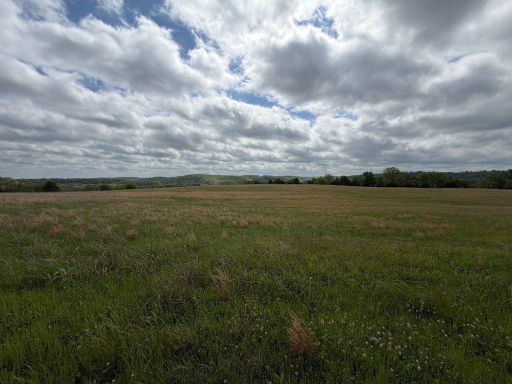 Picture 29