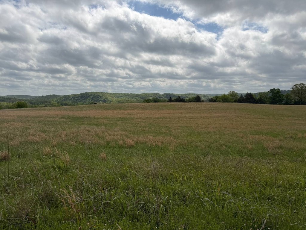 Picture 28