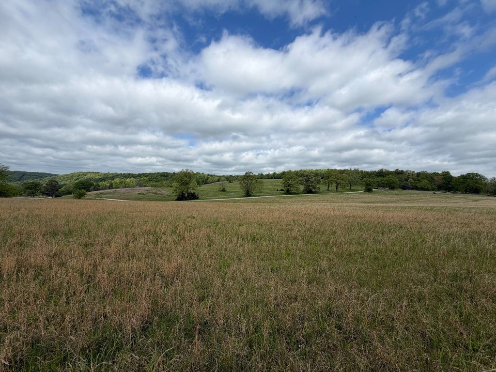 Picture 26