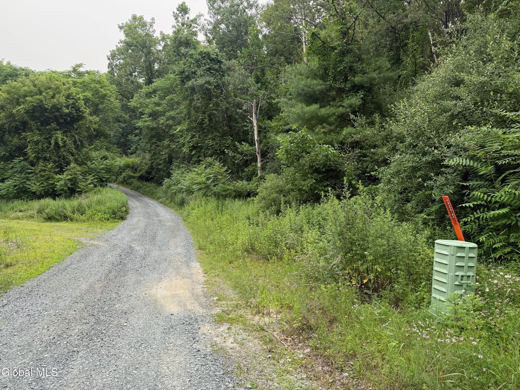 Picture 4