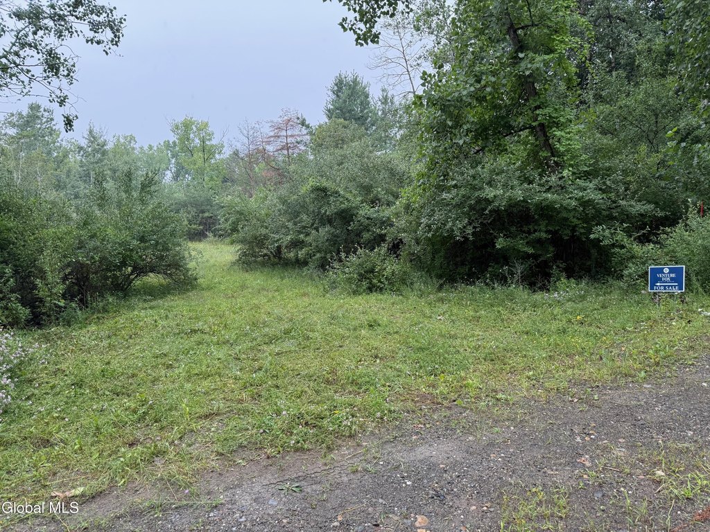 Picture 11