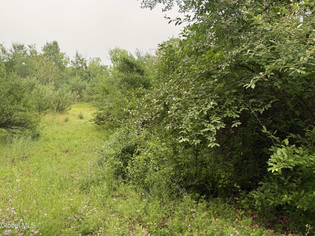 Picture 7