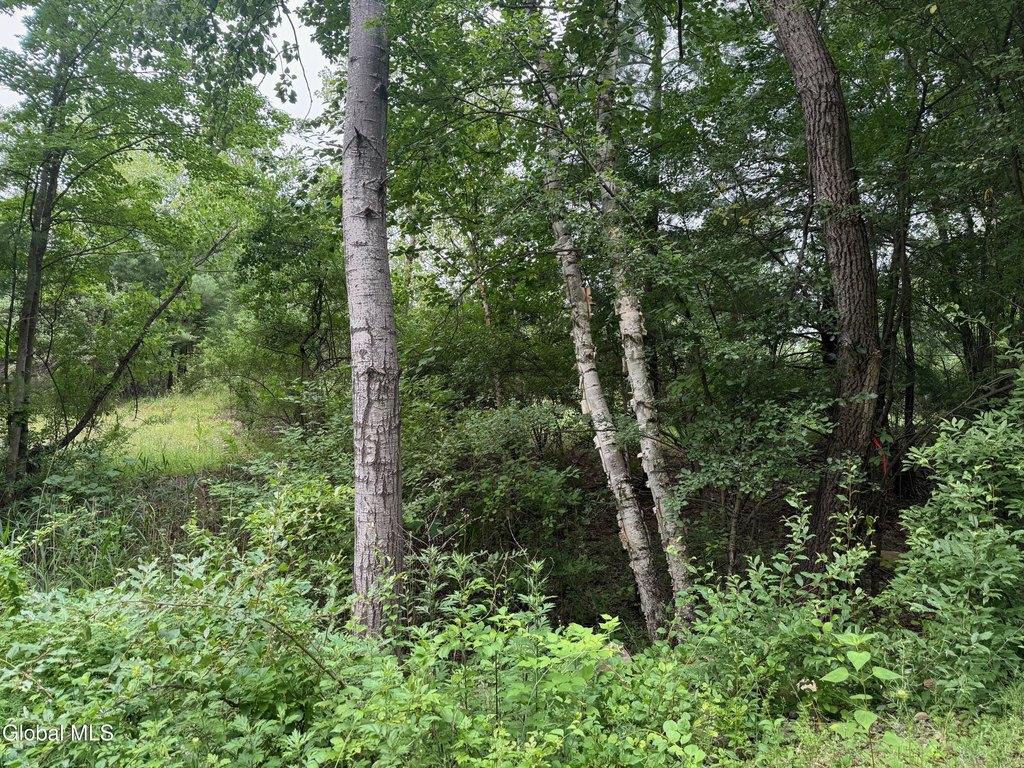 Picture 8