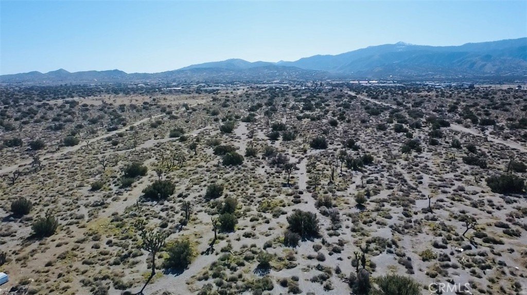 Picture 3