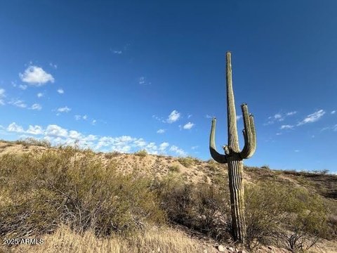 Expansive Land in Goldfield Ranch