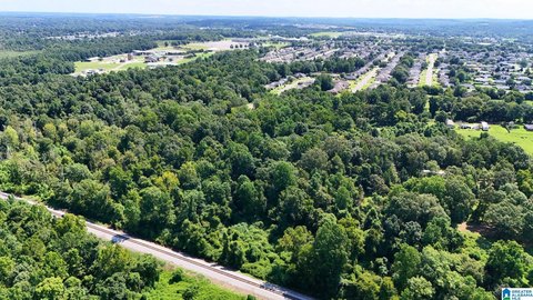 LAND/LOTS, TUSCALOOSA, AL