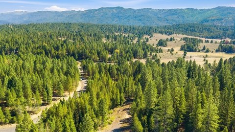 Wooded Land Near Cascade, ID