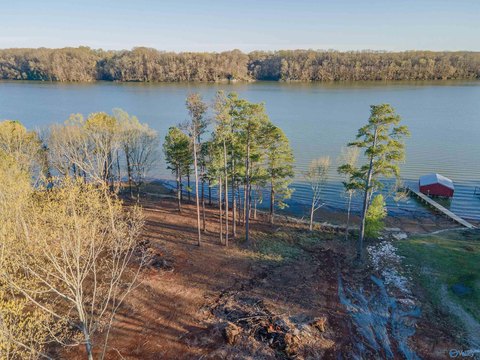 Rogersville, AL Land For Sale