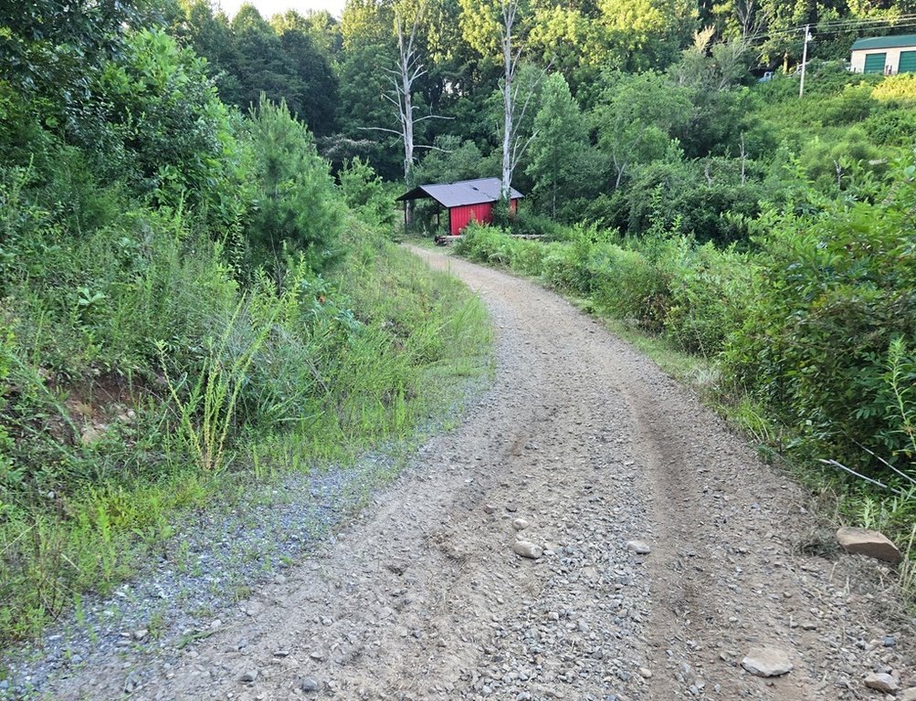 Picture 3