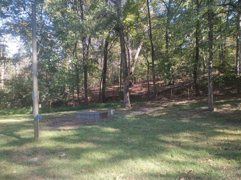 Land, Springville, TN