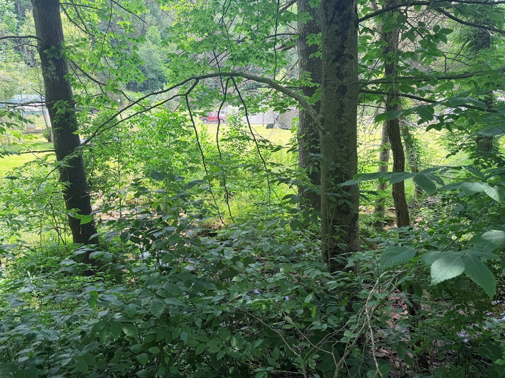Picture 4