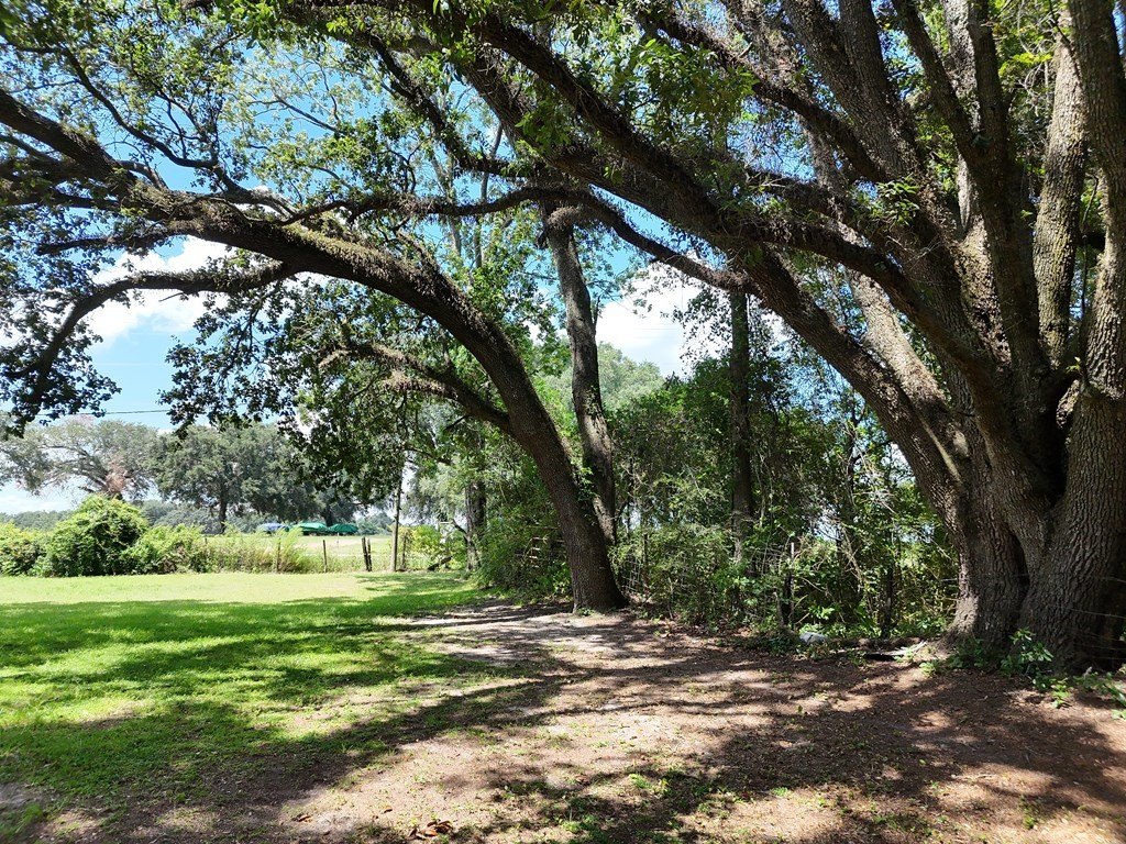 Picture 20