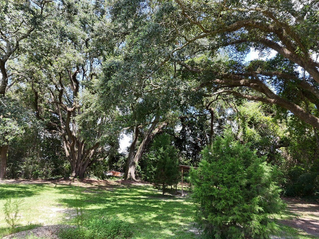 Picture 18