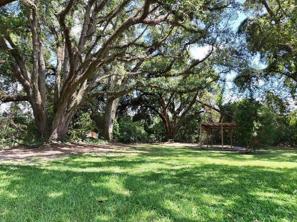 Picture 21