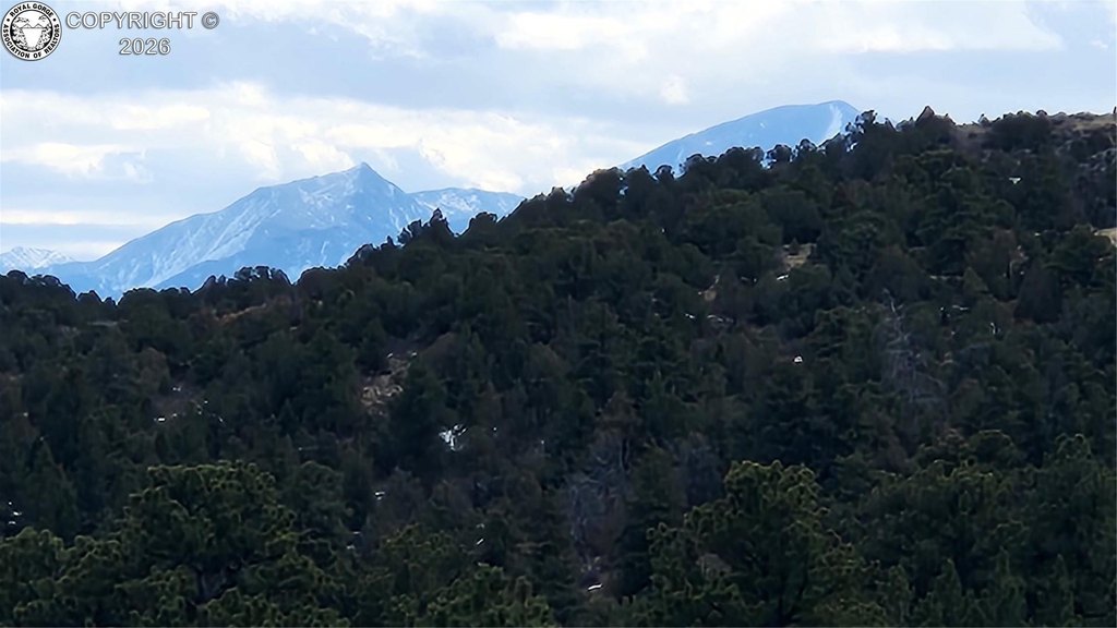 Picture 21