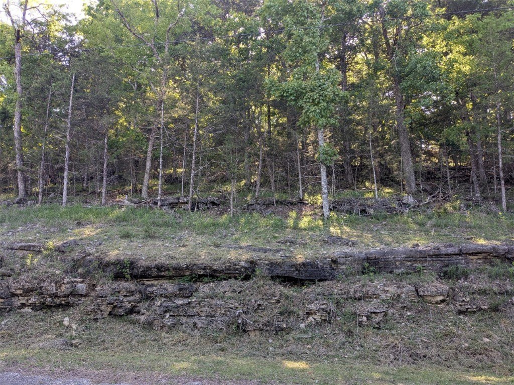 Picture 2