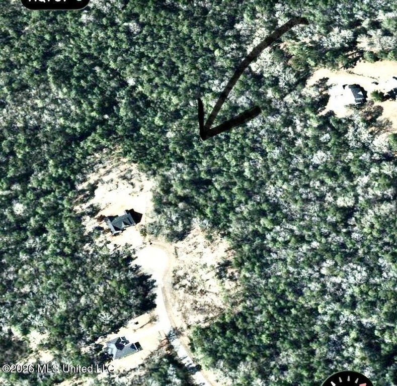 Picture 23