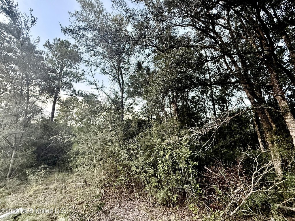 Picture 17