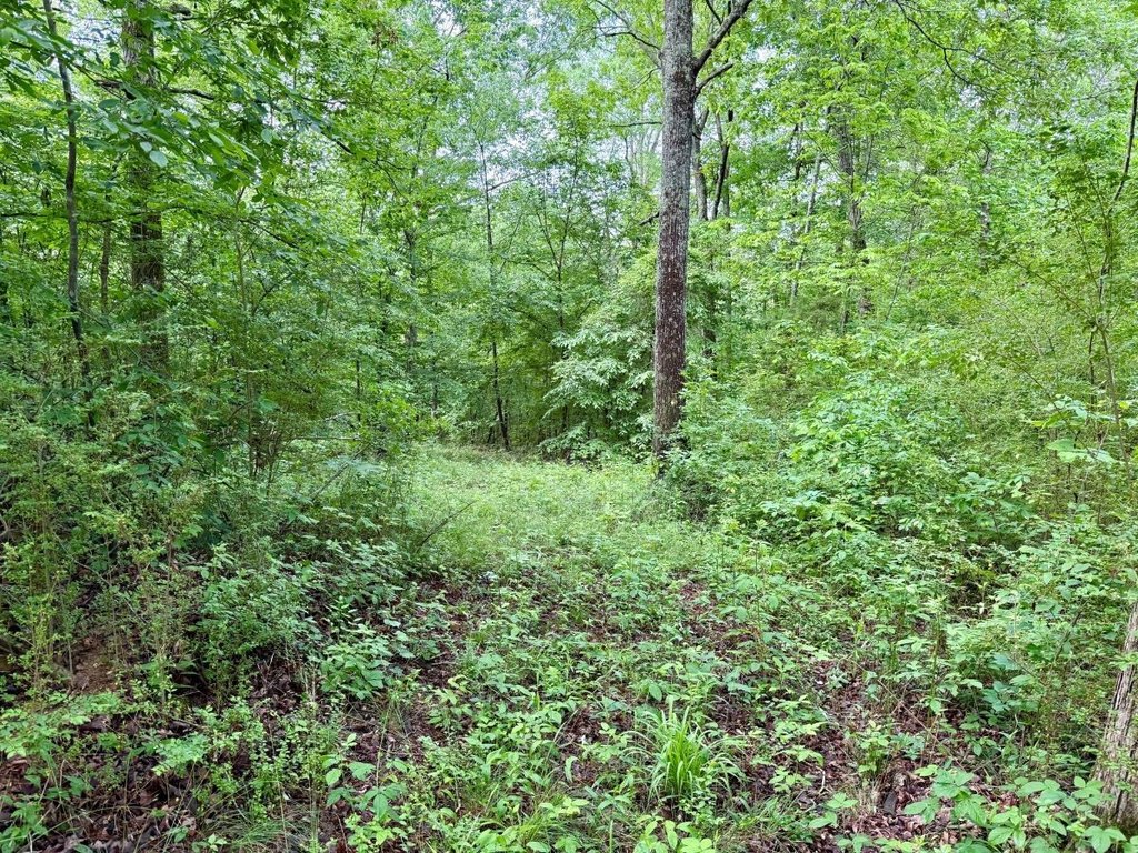 Picture 28