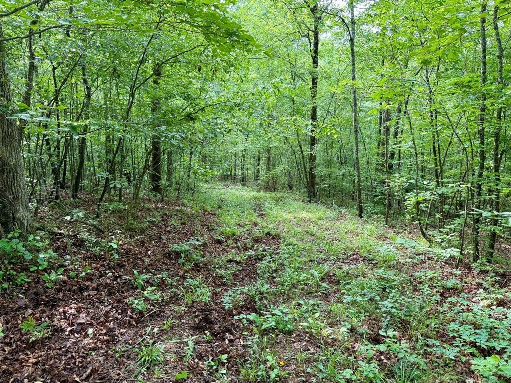 Picture 26