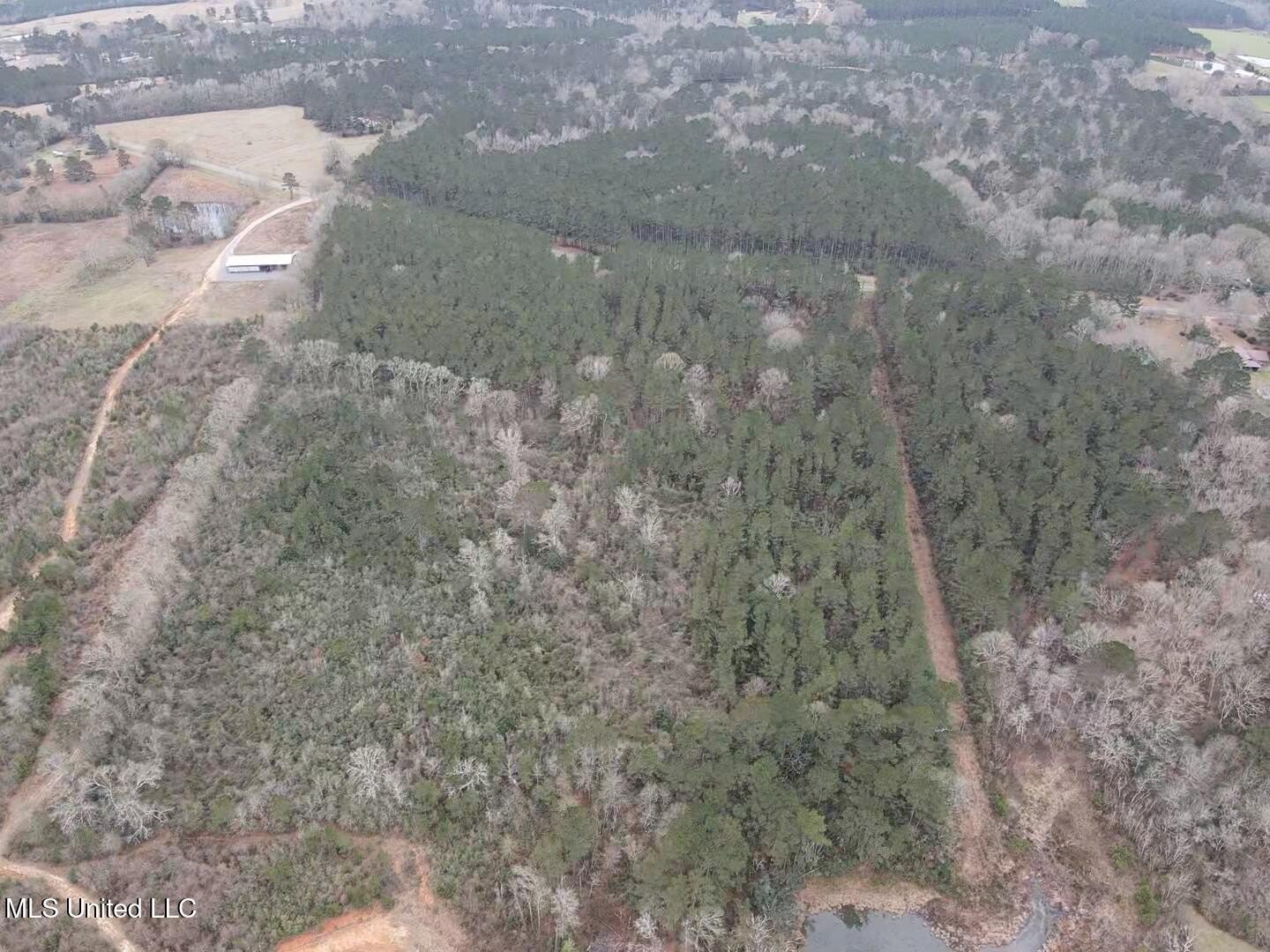 Pike County Land For Sale