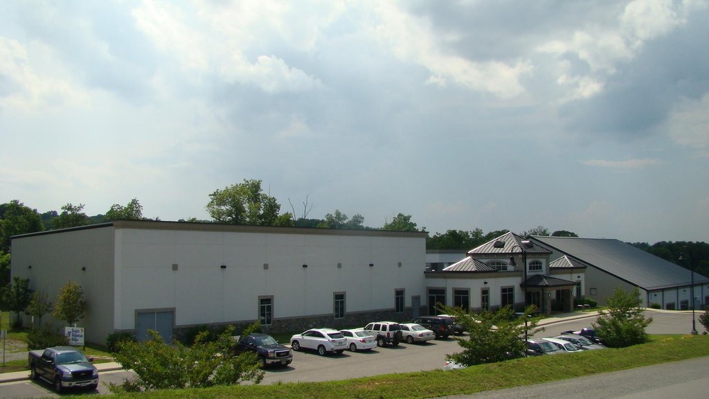 Picture 4