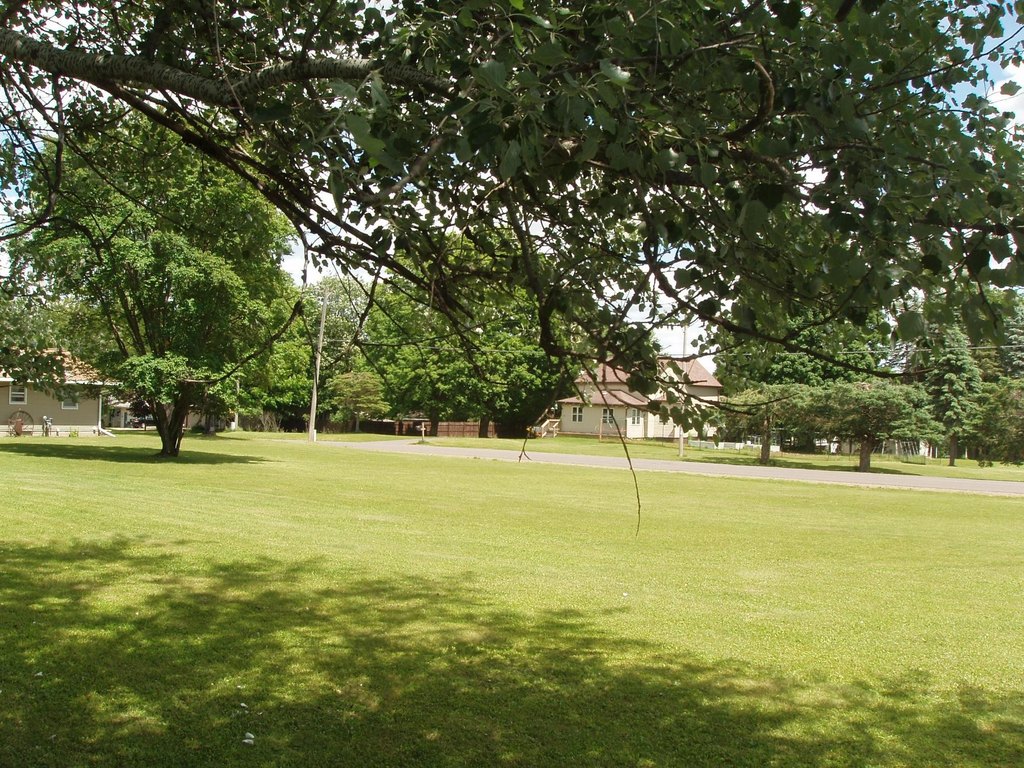 Picture 8