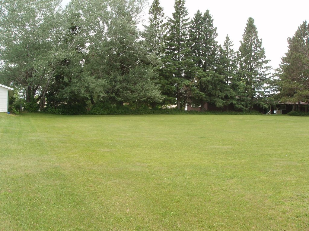 Picture 2