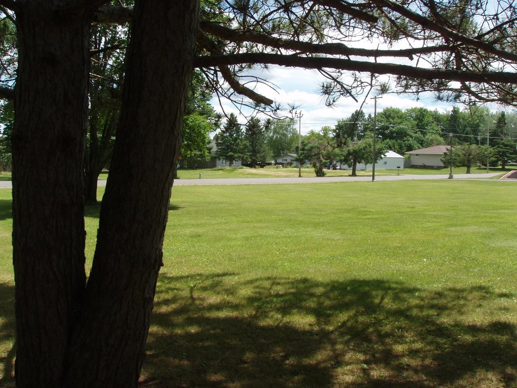 Picture 6