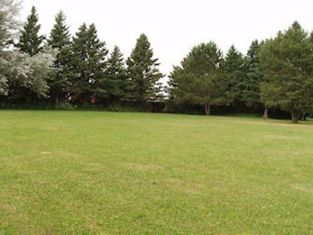 Picture 11