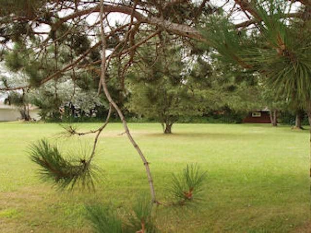 Picture 13