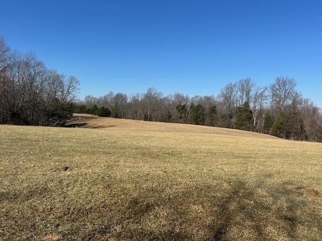 Secluded Acreage in Summer Shade