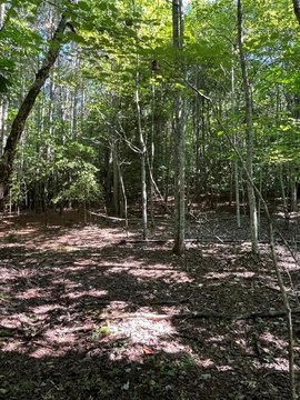Mountain View Building Lot