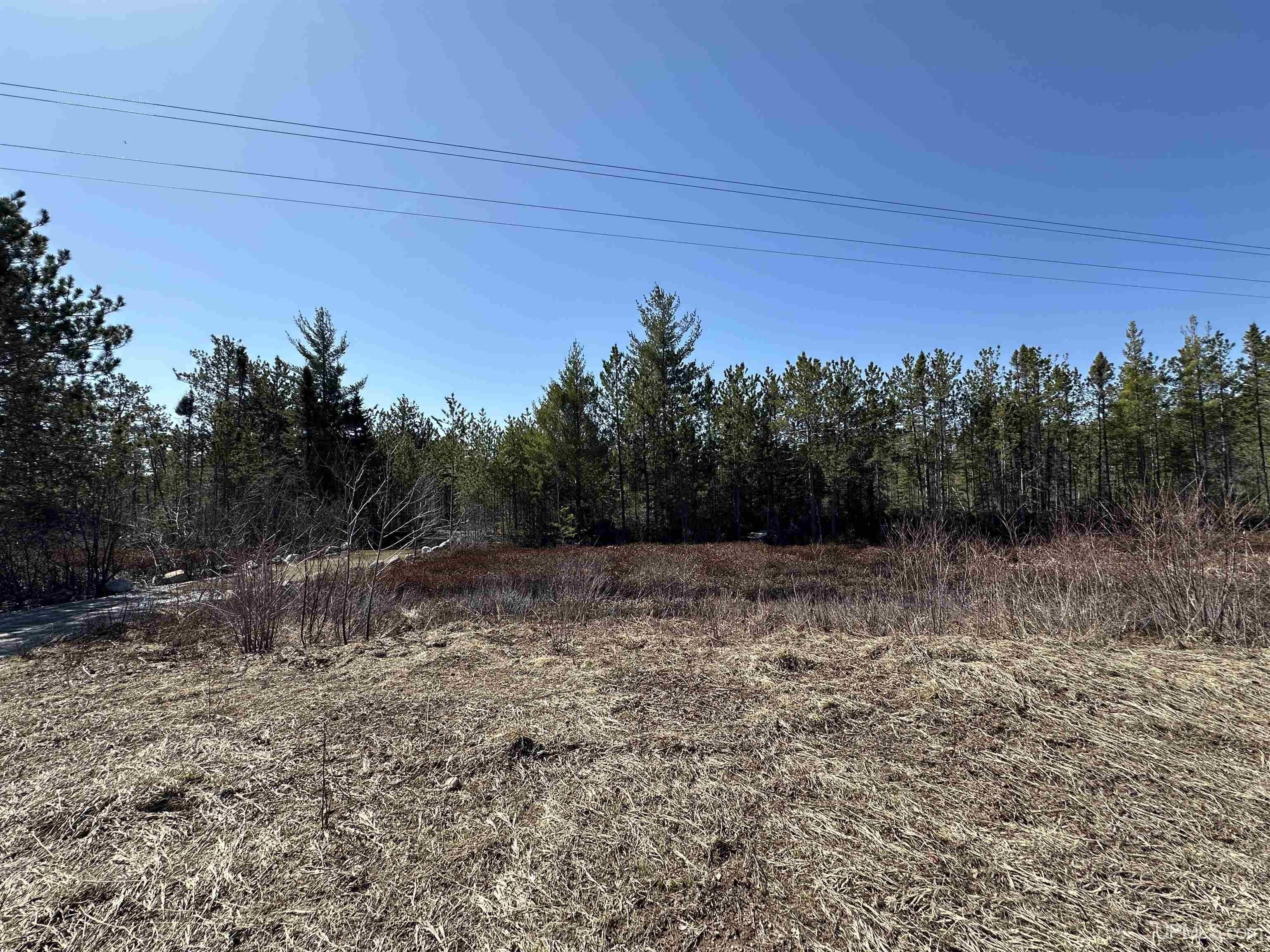 280 Acres Vacant Land Marquette