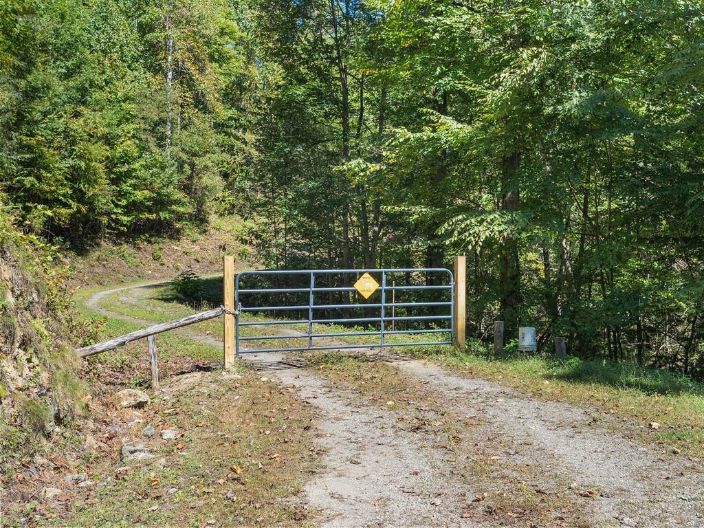 Picture 4