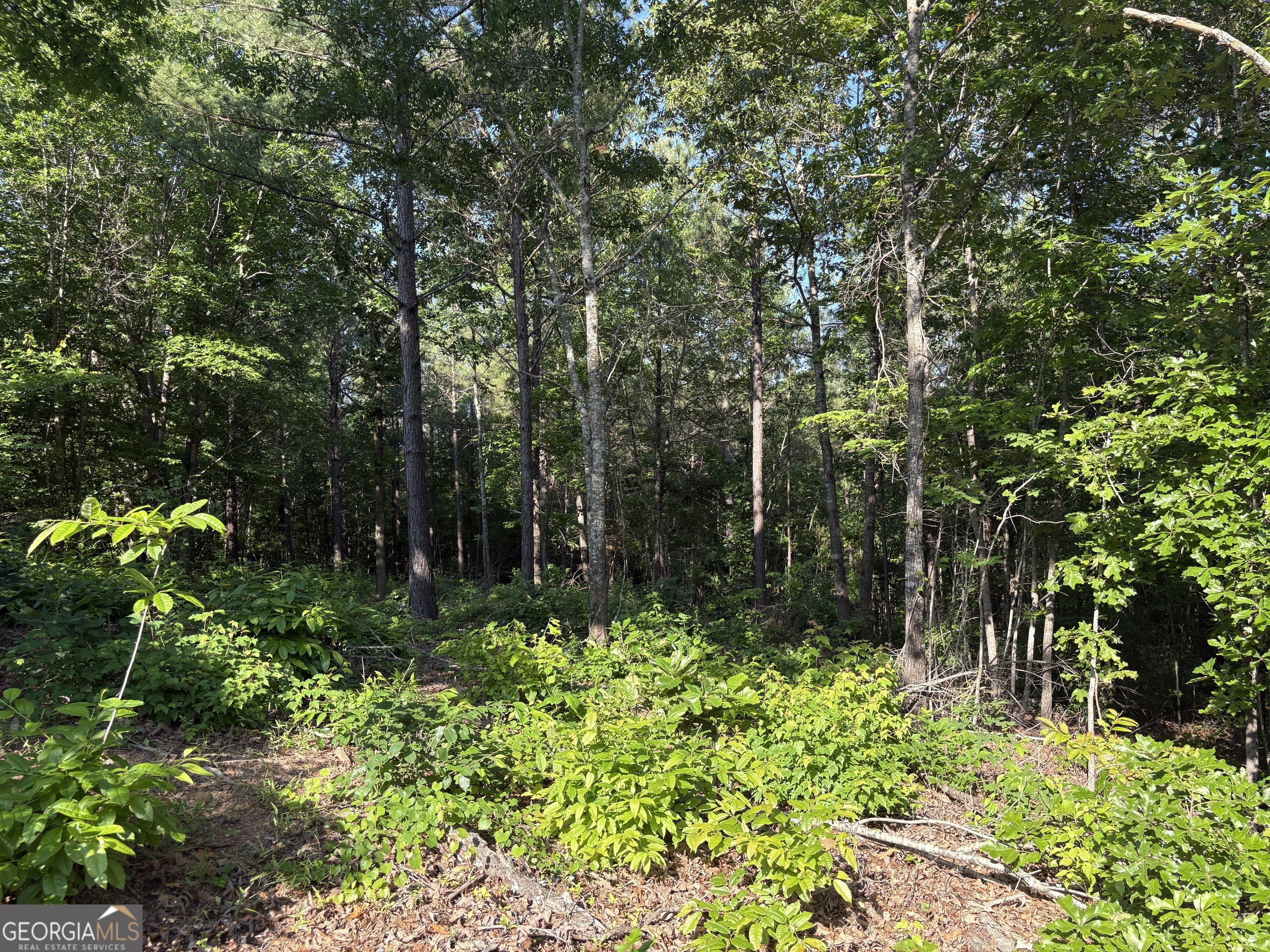 Residential Land in Quiet Cul-de-Sac