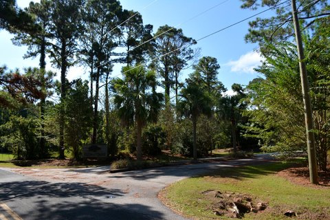 Edisto Island Land For Sale