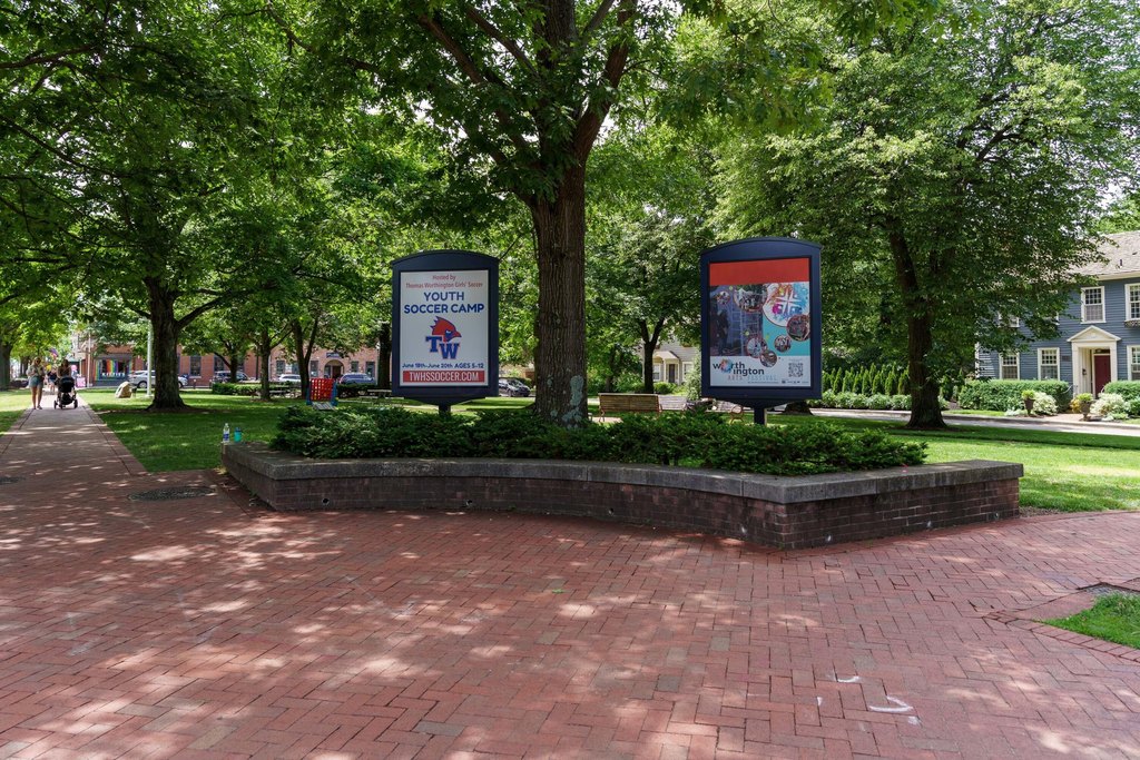 Picture 19