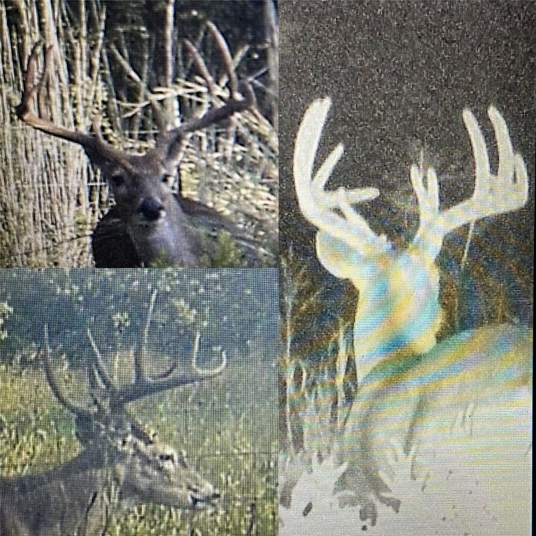 Picture 23