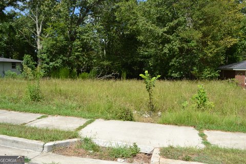 Residential Land in Douglasville, GA