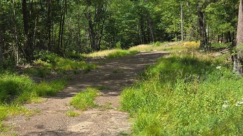 Winchendon Land with Forestry Harvest
