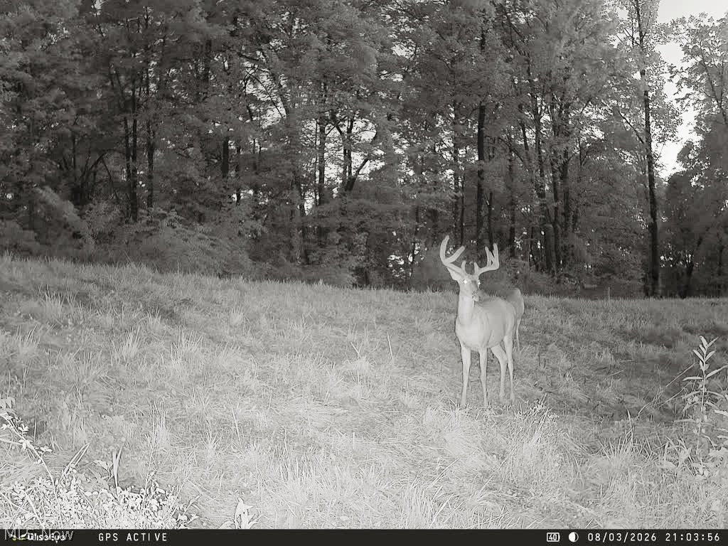 Picture 7