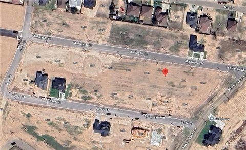 Residential Lot in Palmview, TX
