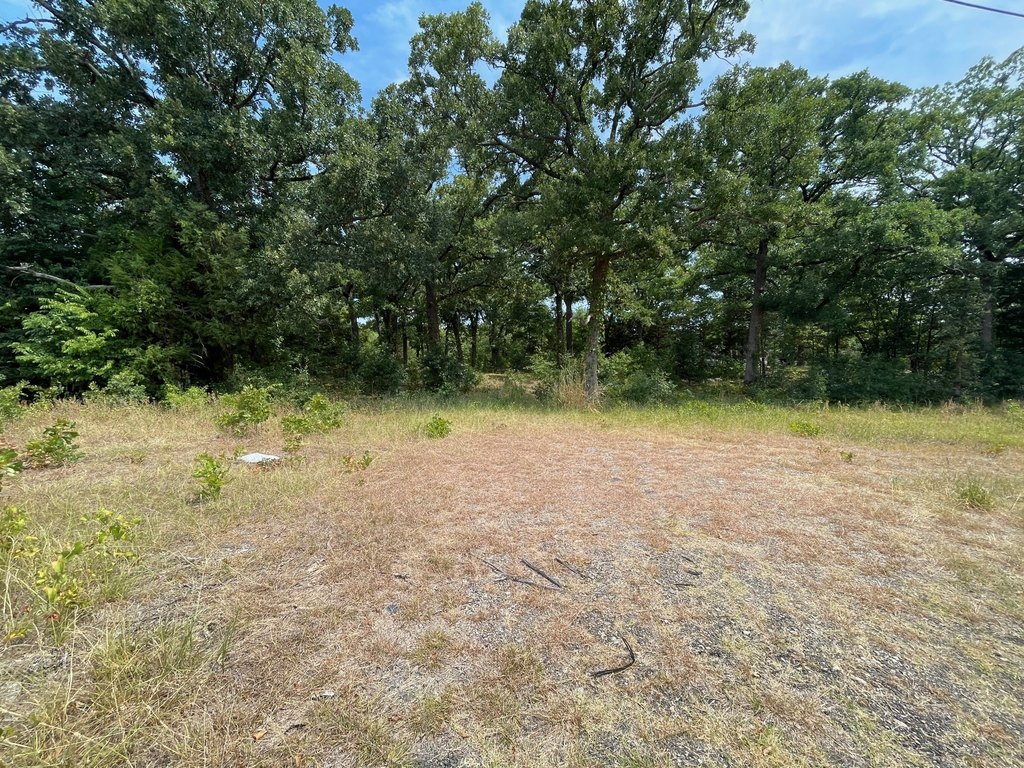 Picture 3