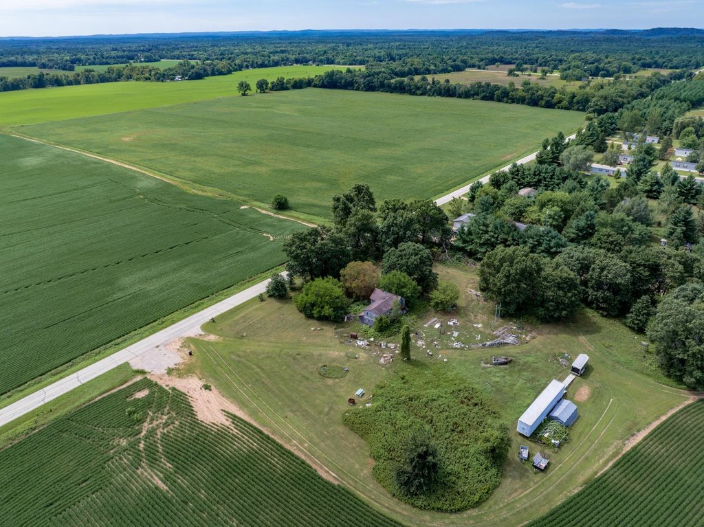Picture 5